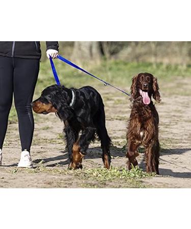 Police style dog training lead 6ft Multiple colours (Blue) - Buy Online on SooperMarket.com