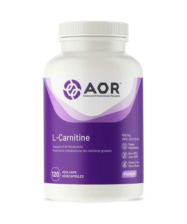 AOR L-Carnitine Amino Acid Supplements