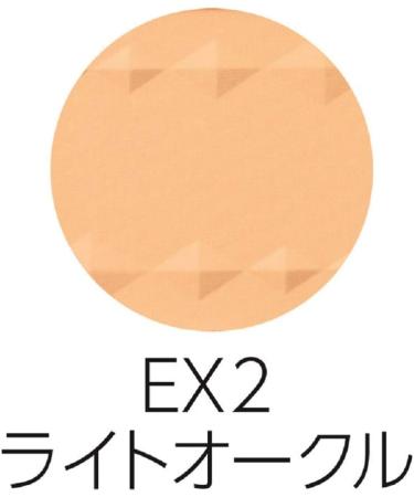 Cezanne UV Foundation EX Plus Refill 2 - Buy Online on SooperMarket.com