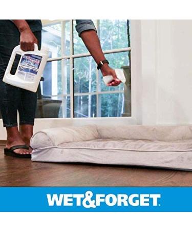 Wet  Forget Indoor Mold and Mildew All-Purpose Cleaner Deodorizes Disinfects Kills 99.9 of Bacteria and Viruses Ready to Use 64 Fl. Oz. - Buy Online on SooperMarket.com