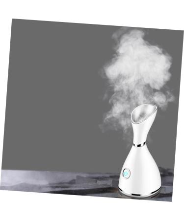 Baluue 2pcs Household Steaming Face Instrument Beauty Steaming Face Instrument White - Buy Online on SooperMarket.com