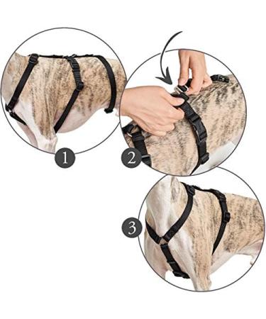 Buy HUNTER Vario Rapid Safety Harness 48-70 cm - Black | International Shipping Available - Buy Online on SooperMarket.com
