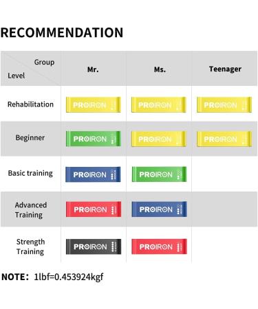 PROIRON Resistance Bands Set - 5 Exercise Bands for Men and Women with Guide and Carrying Bag - Buy Online on SooperMarket.com
