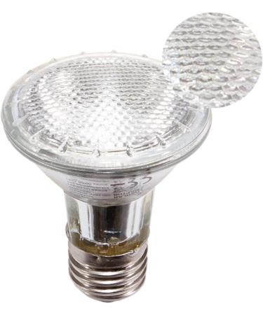 Buy Solar Raptor UV Halogen Spot 35W | Reptile Heat Lamp & Terrarium Light with Daylight Spectrum - International Shipping Available - Buy Online on SooperMarket.com
