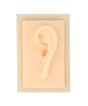 Silicone Ear Model Vivid Shape Durable Wearable Comfortable Soft Human Ear Model Glossy Texture Safe Practical for Teaching Demonstration(Left) - Buy Online on SooperMarket.com