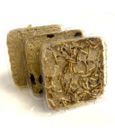 PREMIUM SUET BLOCKS 24 MIXED (8 INSECT 8 MEALWORM 8 BERRIES)