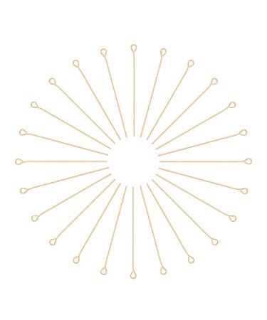 UNICRAFTABLE 500pcs Golden 304 Stainless Steel Eyepins 40mm Open Eye Pins Head Pin Jewelry Making Findings DIY Components for Beads Making Connector 40x3mm Hole 2mm Pin 0.6mm