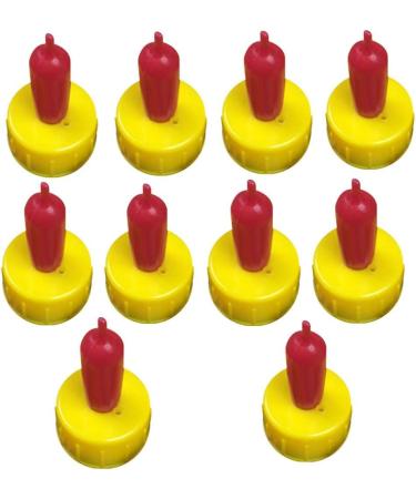 Soft Drink Bottle for Young Animals - Pack of 10 - Buy Online on SooperMarket.com