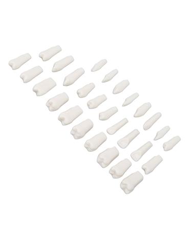 False Teeth Sets Removable Tooth Pieces Made of Premium Plastic for Teaching