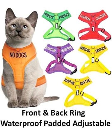 Dexil Colour Coded Cat Harness Warning Alert Vest Padded and Water Resistant Red CAUTION (S-M) Small-Medium Red CAUTION - Buy Online on SooperMarket.com