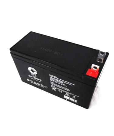 SPS Brand 12V 9Ah Terminal FP Replacement Battery for Stanley J309 300 AMP Jumpstarter