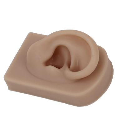 Reusable Human Ear Model - Right Ear for Piercing Training & Display (Brown) - Buy Online on SooperMarket.com