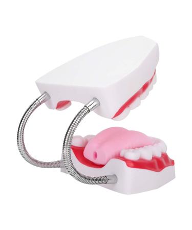 Portable Dental Model for Kids - Lifelike Teeth Brushing Demonstration & Educational Teaching Material - Buy Online on SooperMarket.com