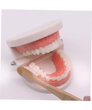 Frcolor Early Education Tooth Brushing Toy Set - Fun Children's Educational Toys for Teething & Dental Hygiene - Buy Online on SooperMarket.com
