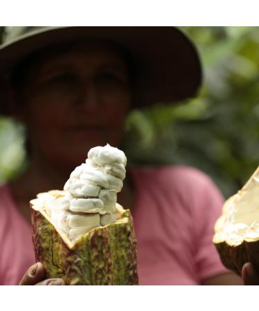 Peruvian "Blend" Ceremonial Cacao by The Jasper Cacao Project (250 Grams) - Buy Online on SooperMarket.com