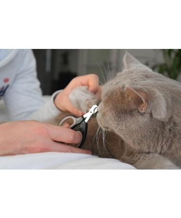 High-Quality Claw Scissors for Cats - Safe & Easy Nail Care for Beginners - International Shipping - Buy Online on SooperMarket.com