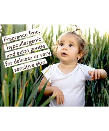 Babo Botanicals Fragrance-Free 3-in-1 Baby Wash & Shampoo 15 fl. oz. - Vegan, Organic Shea Butter, Coconut Oil, Calendula & Oat - EWG Verified - Buy Online on SooperMarket.com