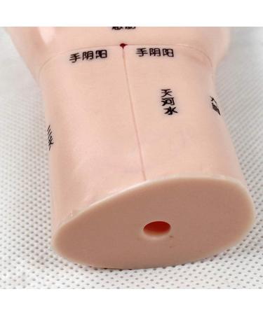 Acupuncture Hand Model Reflexology Acupoint Study Kit - Buy Online on SooperMarket.com