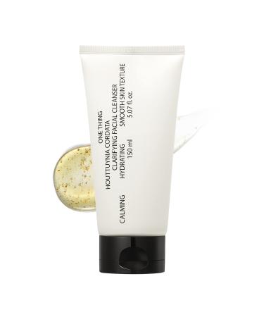 ONE THING Houttuynia Cordata Clarifying Facial Cleanser 5 fl oz | Gentle Foaming Hydrating Foam Cleansing for Acne Prone Oily Skin  Exfoliating Gel Type | Korean Skin Care