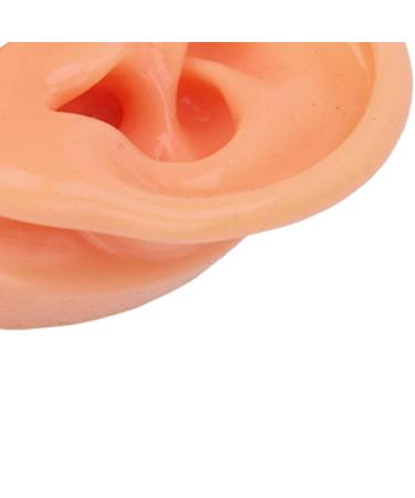Waterproof Simulated Teaching Ear Model for Doctors - Long Lasting Artificial Ear - Buy Online on SooperMarket.com