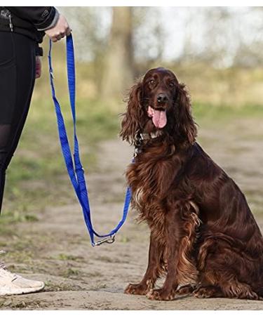 Police style dog training lead 6ft Multiple colours (Blue) - Buy Online on SooperMarket.com