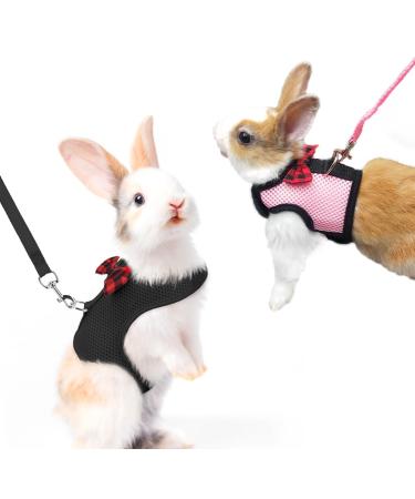 2 pieces of rabbits dishes pet dishes and leash adjustable rabbit dishes software with line for rabbits rabbits rabbits rabbits for small animals kitten pet