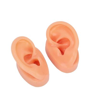 Waterproof Simulated Teaching Ear Model for Doctors - Long Lasting Artificial Ear - Buy Online on SooperMarket.com