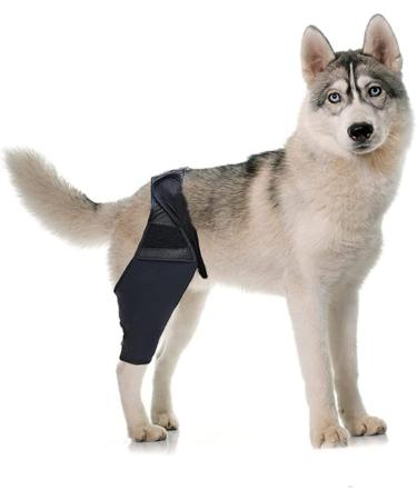 CORHAD Dog Leg Braces for Hindleg Comfortable Dog Knee Dog Back Leg Protector Puppy Pet Mesh Fabric Care M As Shown - Buy Online on SooperMarket.com