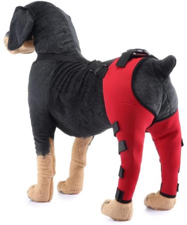 Pet Dog Knee Brace ACL Brace for Dogs Rear Leg Dog Braces for Back Leg for Support for Heals Prevents Injuries Sprains Red Medium Medium Red - Buy Online on SooperMarket.com