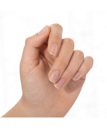 Morgan Taylor React No Light Extended Wear Base Coat - Long-lasting Nail Protection - Buy Online on SooperMarket.com