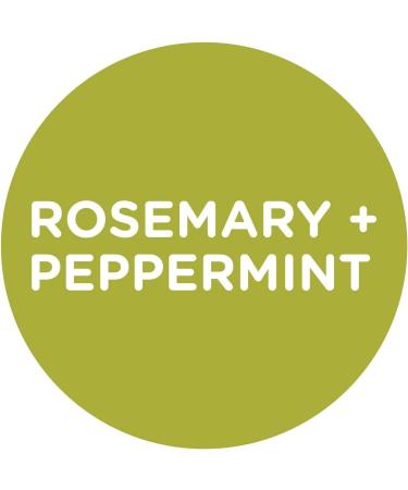 Sapadilla Rosemary + Peppermint Variety Pack - 16 oz Hand Soap, Dish Soap, Countertop Cleanser - Buy Online on SooperMarket.com