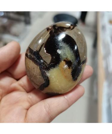 Home Decoration 1pcs Turtle Bay Palm CrystalStones Natural Carved for Feng Shui Stones ZJGIDTEM - Buy Online on SooperMarket.com
