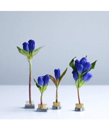 Wazakura Mini Ikebana Kenzan Japanese Flower Holder Set - Made in Japan | Round Square Brass Floral Arranging Pin Frog - 1(24mm) - Buy Online on SooperMarket.com