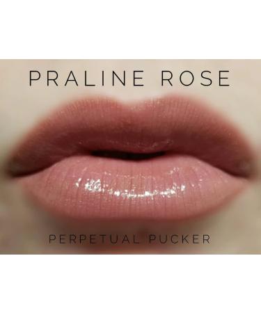 LipSense Bundle (Napa) - Lip Color & Glossy Gloss Set - Buy Online on SooperMarket.com