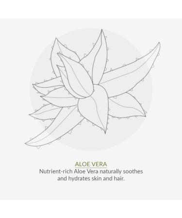 Green People Bio-Conditioner Beeren-Moothie 200ml | Natural Eczema-Friendly Conditioner for Kids | SLS & Paraben-Free | Vegan | Gentle on Sensitive Skin - Buy Online on SooperMarket.com