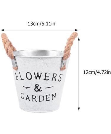 Homoyoyo 8 Pcs Tin Bucket Metal Flower Bucket The Office Desk Decor Galvanized Metal Vase French Country Pitcher Desk Waste Basket Metal Tin Plating Iron Flower Arrangement 13X12cmx2pcs Assorted Colorx2pcs - Buy Online on SooperMarket.com