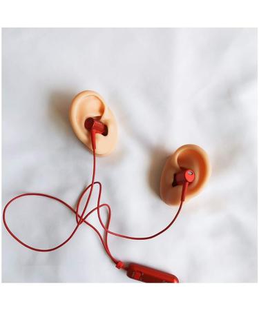 Simulation Ear Template - Flexible Silicone Silicone Ear Model for Acupuncture Picking Ear Picking Soft Props Earrings Right - Buy Online on SooperMarket.com