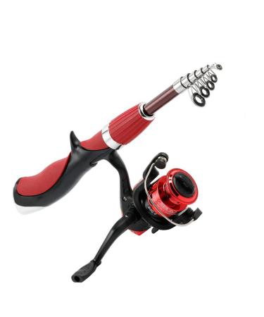 BESTEU Portable Mini Telescopic Fishing Rod and Reel Set Fishing Rod with Spinning Reels Fishing Tackle Set
