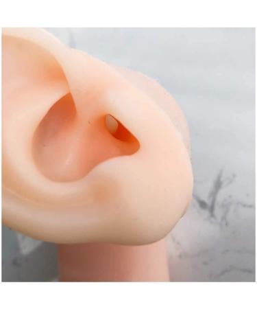 Ear Model - Soft Silicon Silicone Simulation Model of Acupuncture Ear Ear Picking Practice The Studs Earring Display Props - Buy Online on SooperMarket.com