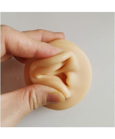 Silicone Ear Model - Human Ear Model Simulation - for Human Body Piercing Acupuncture and Moxibustion Ear Practice Ear Teaching - Buy Online on SooperMarket.com