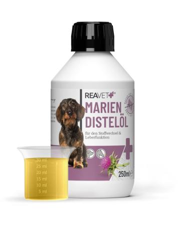 Reavet Mary thistle oil for dogs & horses 250ml-Naturrein in food quality-Barf addition thistle oil dog barf oil Mariendtle oil I rich in vitamin E omega-6 250 ml