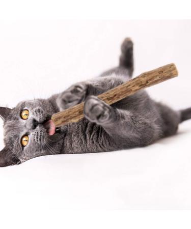 tiopeia 30 PCS Cat Catnip Sticks Natural Matatabi Chew Sticks as Dental Treat Teeth Grinding Chew Toys for Cat Kitten Kitty - Buy Online on SooperMarket.com