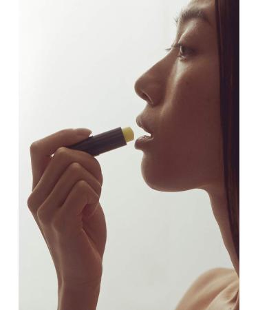 Henn Organics Luxury Lip Balm V2 - Natural & Organic Moisturizer - 0.17 oz Stick (Pack of 1) - Buy Online on SooperMarket.com