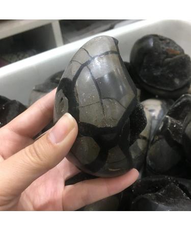 Specimen Healed 380-400g Natural Crystal Tortoise Shell Stone raw Stone Crystal As a Gift FZUGEDRLI - Buy Online on SooperMarket.com
