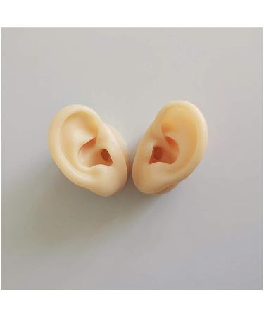 Medical Teaching Template Template Silicone Ear Template for Acupuncture - Size of Life Human Ear Model Lifeelike Artificial Ear Model - Buy Online on SooperMarket.com
