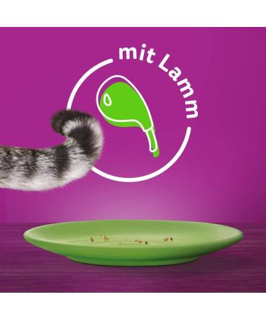 Whiskas 1+ Cat Food Lamb in Jelly | 28x85g - Premium Wet Food for Adult Cats | 2.38kg Pack - Shop Now! - Buy Online on SooperMarket.com