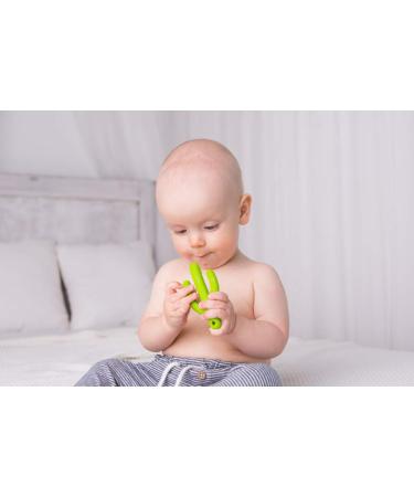 Giligums 58343 Cactus Teether Ring for Babies | 100% Food-Grade Silicone | BPA Free Baby Toothbrush & Dental Aid | Soft Teething Relief for 3 Months+ - Buy Online on SooperMarket.com