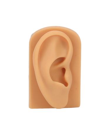 Ear Model Prevent Damage Waterproof Soft Silicone Right Ear Model Flexible Science Education for Display