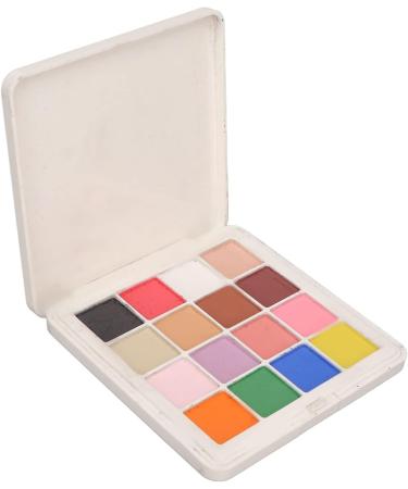 Solid Nail Glitter Powder Set for DIY 16 Colors Metallic Mirror Effect Nail Powder Shiny Nail Art Pigment Powder Flashing Nail Powder for Nail Art Decoration Salon Home Use - Buy Online on SooperMarket.com
