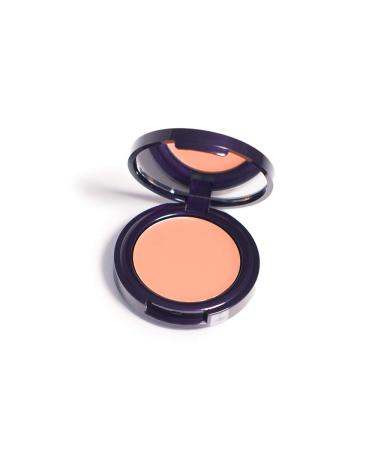 Westmore Beauty Shadow Edit Magic Shadow Eraser